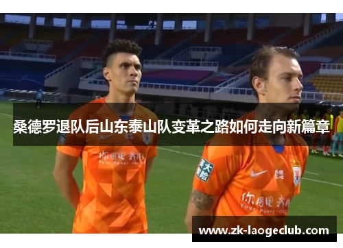 桑德罗退队后山东泰山队变革之路如何走向新篇章