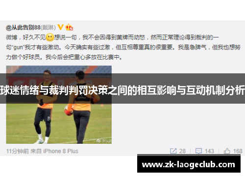 球迷情绪与裁判判罚决策之间的相互影响与互动机制分析