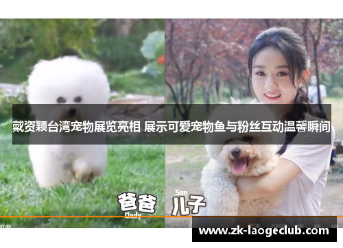 戴资颖台湾宠物展览亮相 展示可爱宠物鱼与粉丝互动温馨瞬间 戴资颖台湾宠物展览亮相 展示可爱宠物鱼与粉丝互动温馨瞬间