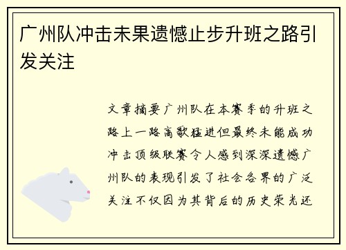 广州队冲击未果遗憾止步升班之路引发关注