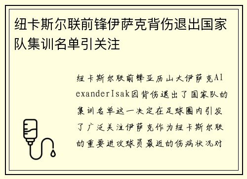 纽卡斯尔联前锋伊萨克背伤退出国家队集训名单引关注